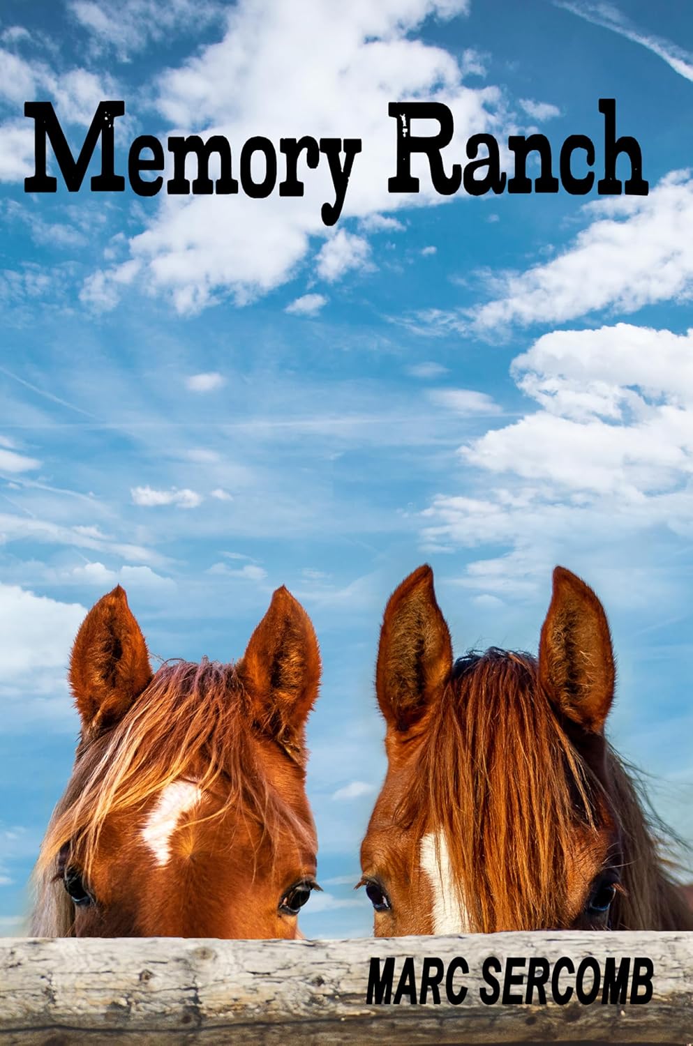 Memory Lane by Marc Sercomb